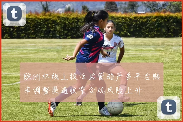 欧洲杯线上投注监管趋严多平台赔率调整渠道收窄合规风险上升
